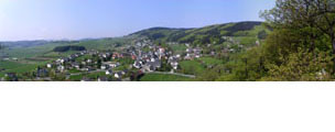 panorama_sommer_klein